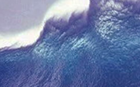 海嘯奇跡觀后感