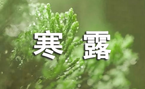 寒露節(jié)氣的句子