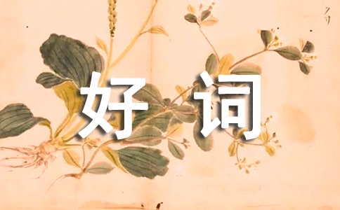 隨風(fēng)而來(lái)的瑪麗阿姨好詞好句