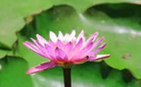 ���x�茑����ĺɻ�������500�ּ��\10ƪ