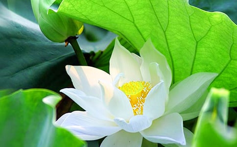 �P(gu��n)��ٝ���ɻ���Ԋ���ȫ