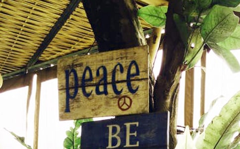 【精品】和平的作文300字匯編7篇