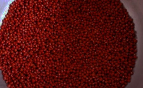 (精)紅豆杉作文