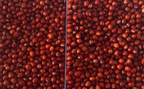 紅豆紅相思疼詩(shī)歌