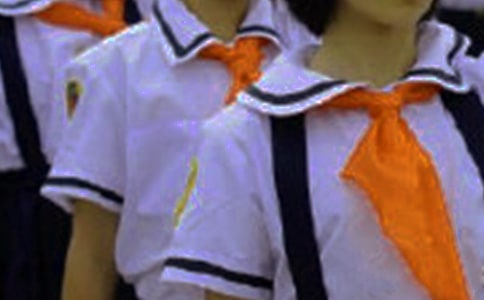 我心中的紅領(lǐng)巾作文