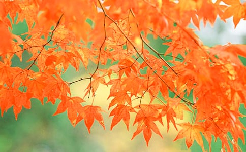 �t�~�����ģ�ͨ��34ƪ��