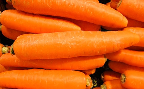 ���}���������L(zh��ng)�����m(x��)��(xi��)���ģ�ͨ��48ƪ��