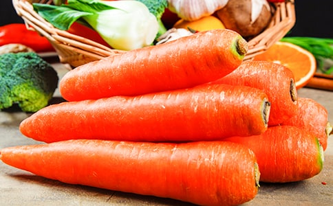 介紹胡蘿卜的作文