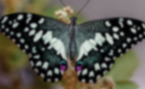 �������۷������