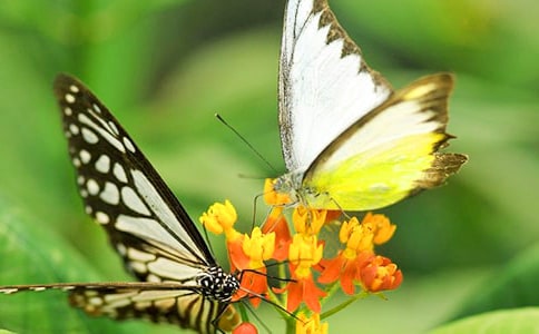 ׽������'С�W(xu��)��ӛ������600��