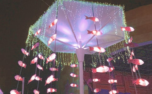 正月十五觀花燈400字作文