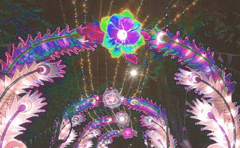 正月十五鬧花燈作文(通用11篇)