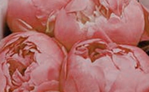 開在心中的花朵作文【經(jīng)典】