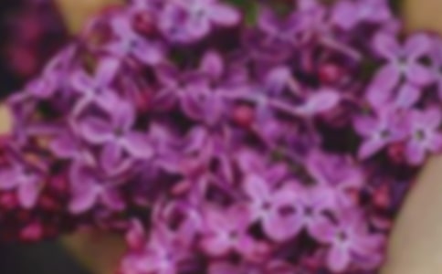 祖國的花朵作文11篇(薦)