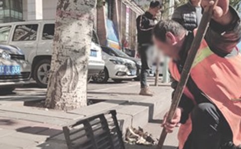 �h(hu��n)�l(w��i)������ȹ������Y(ji��)ģ��