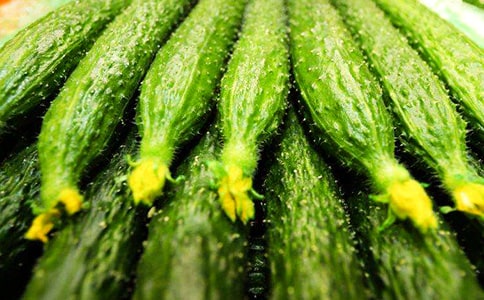 摘黃瓜作文【推薦】