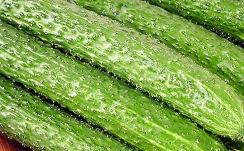 涼拌黃瓜作文14篇(優(yōu)秀)