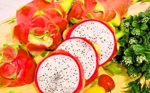 火龍果小學(xué)生作文(精選27篇)