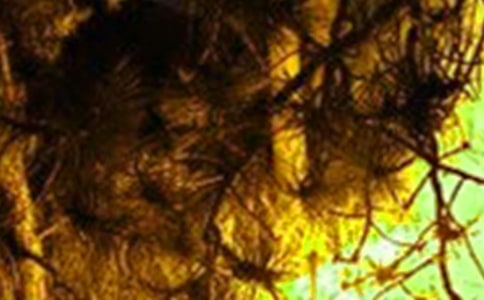 ���(z��i)��(y��ng)���ݾ�������ͨ��18ƪ��