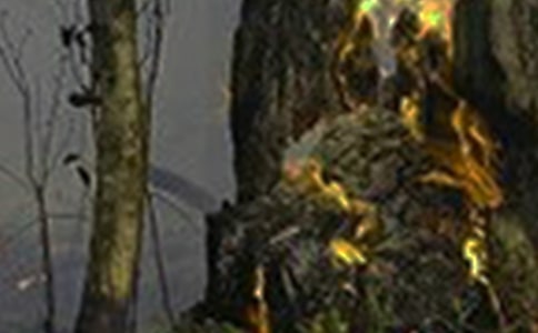 ���(z��i)��(y��ng)���ݾ�����(15ƪ)