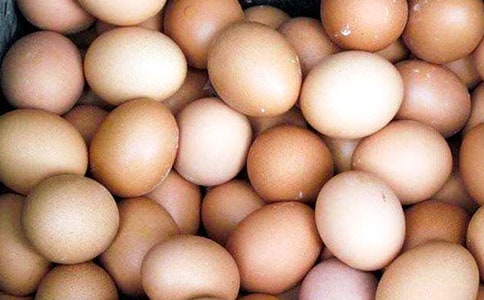 ���ѳ��u������(��(y��u)��)