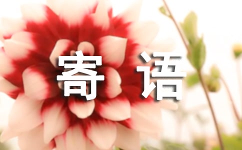 2015關(guān)于對(duì)國(guó)旗的寄語(yǔ)大全