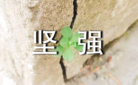 �P(gu��n)�ڈ�(ji��n)��(qi��ng)�����ĺϼ�7ƪ