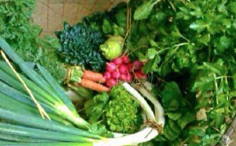 �����ϾW�������vԒ�壺�Gɫ�ϾW���������L