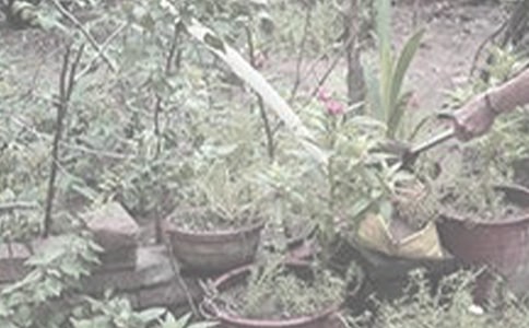 �����Ć�ʾ����(2ƪ)