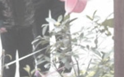 �����Ć�ʾ����