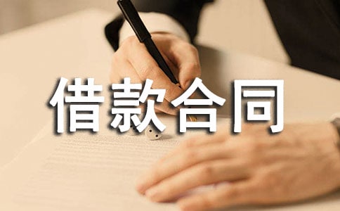 項(xiàng)目借款合同15篇