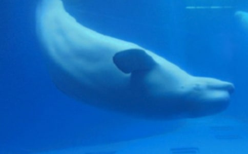 �L�~�����ġ����]��