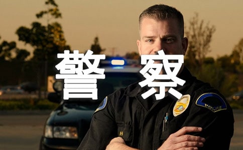 警察抓小偷作文5篇