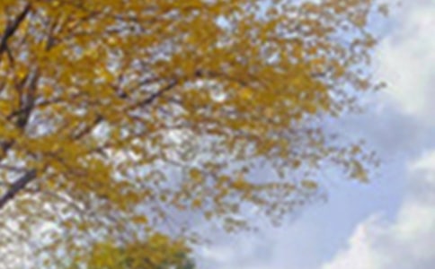 關(guān)于描寫大明湖景色的小學(xué)生作文700字3篇