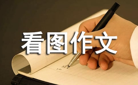 有關(guān)看圖作文300字集錦9篇