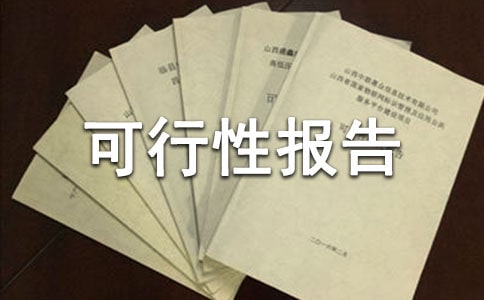 望高鎮(zhèn)小城鎮(zhèn)基礎(chǔ)設(shè)施建設(shè)項(xiàng)目可行性報(bào)告