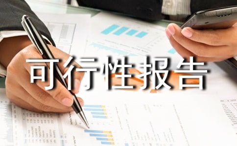 項目可行性報告(通用21篇)