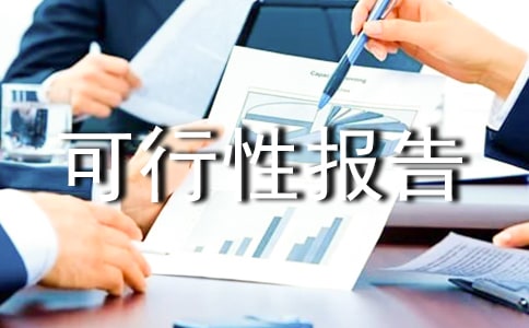 項目可行性報告模板