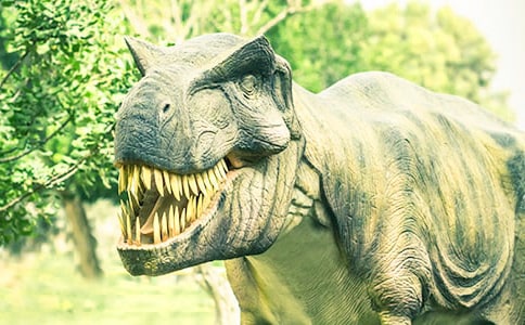 �o������һ���źϼ�15ƪ