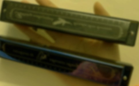 �����L(f��ng)������