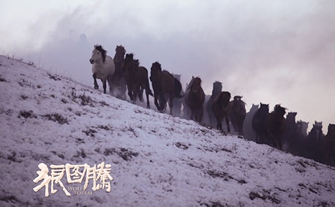 觀《狼圖騰》有感(10篇)