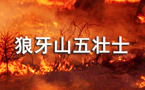 �^������ɽ���ʿ���и�(ͨ��12ƪ)