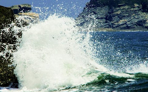 心海里的那朵浪花【通用】