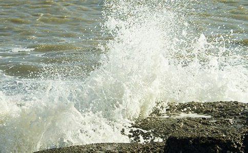 生活中的一朵浪花作文15篇