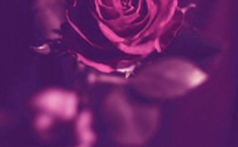 ���������Z������Щ