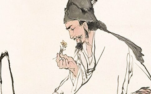 《李時(shí)珍》精品教案