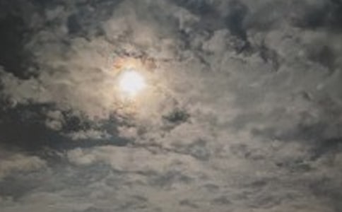 �賿���P����