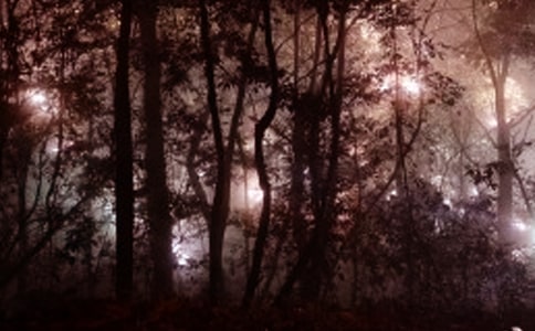 �������賿���c�롷�^���-��ʲô����˳ɹ���