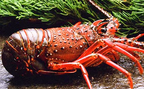 ����r���ģ����A��