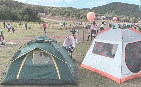 第一次露營小學(xué)生獲獎作文